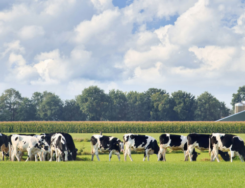 In de biologische sector