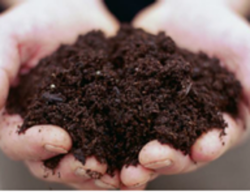 Update tussentijdse rapportage WUR/Circulair terreinbeheer.