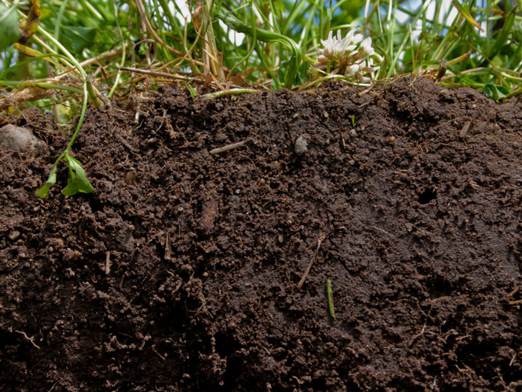full_width_gezonde-bodem-groot-flickr-natural-resources-conservat